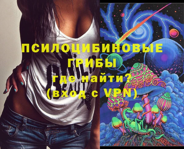 mdpv Елизово
