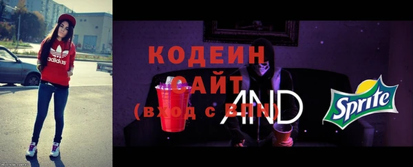 spice Ельня