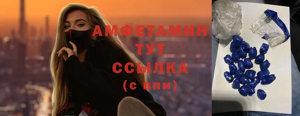 spice Ельня