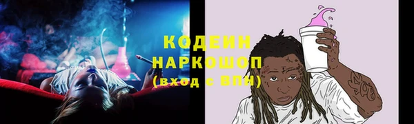 spice Ельня