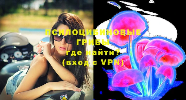 spice Ельня