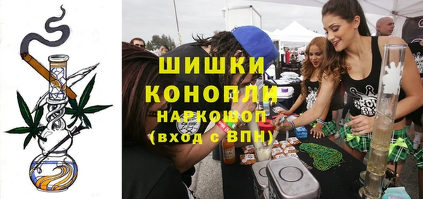 spice Ельня