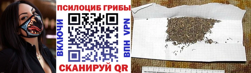 магазин продажи наркотиков  Жуковка  Галлюциногенные грибы прущие грибы 